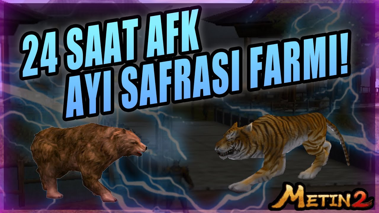Ayı Safrası+ Nerden Düşer? Ne İşe Yarar?
