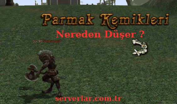 Metin2 Parmak Kemikleri Nerden Düşer?