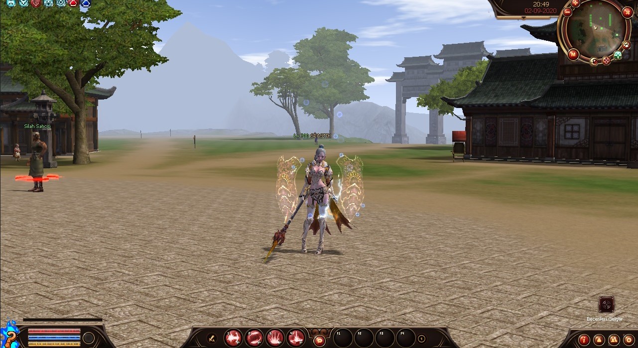 AyyildizMT2 - SALTANAT TİPİ Wslik Pvp