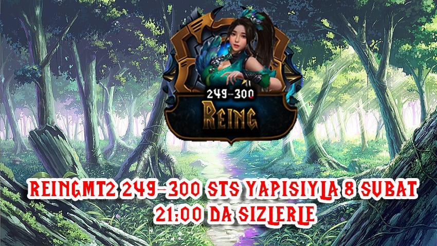 ReingMt2