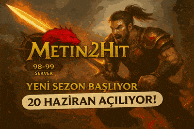 Metin2Hit 98 99 Wslik