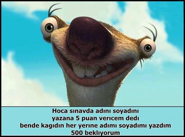GüzelMt2 tanıtım banner