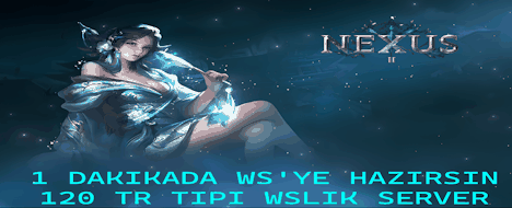 Nexusmt2